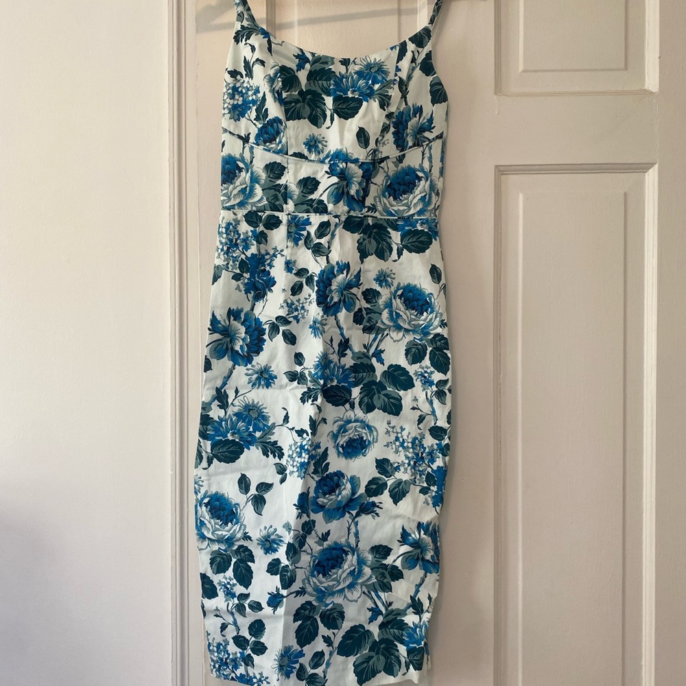 Floral Blue and White Dress